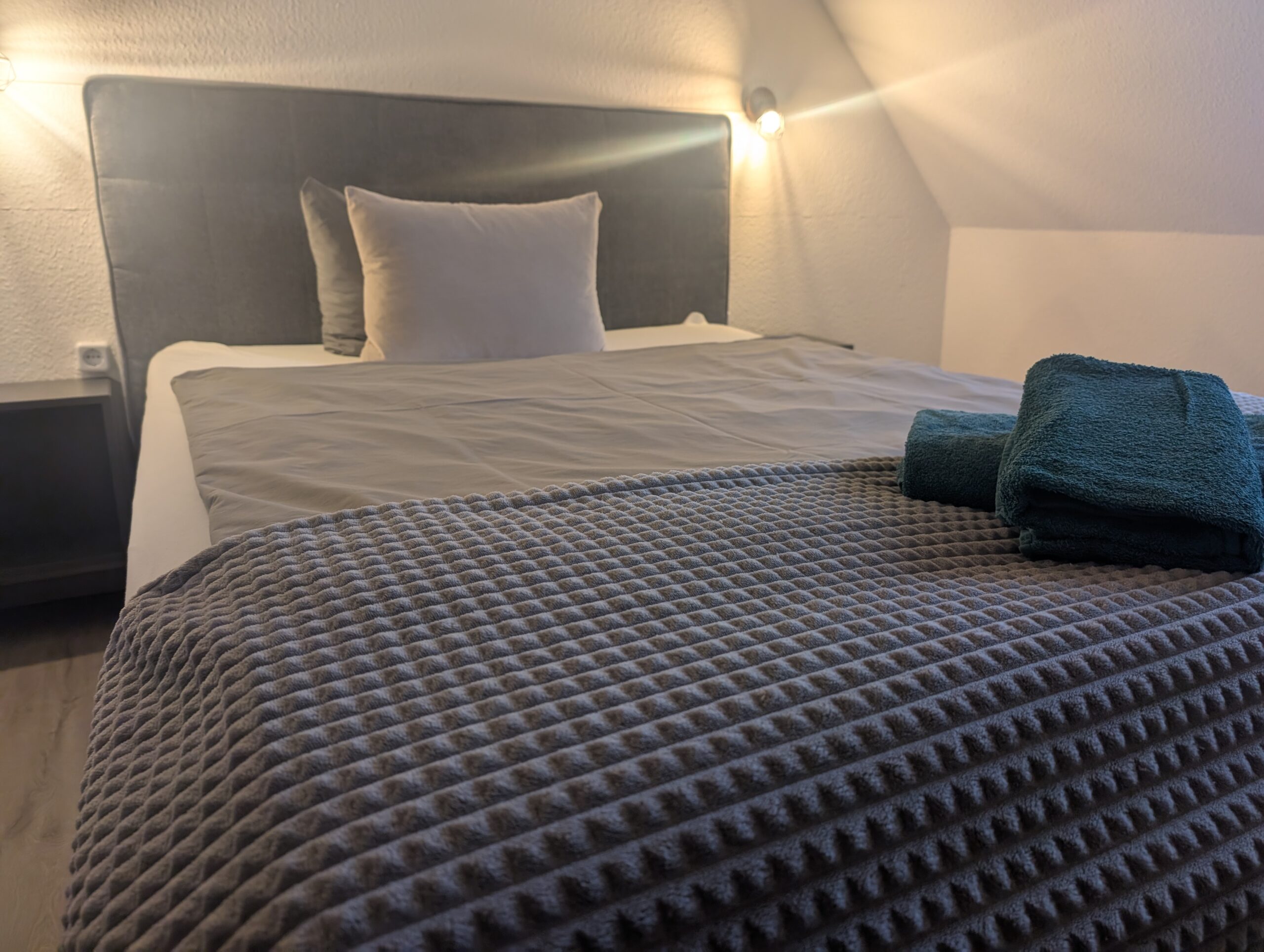 PXL_20241120_081337915-scaled